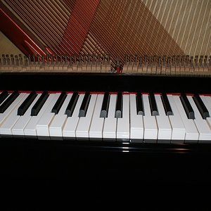 Klavier 2.jpg