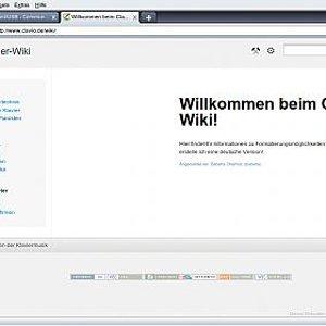wiki.jpg