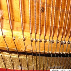 IVXf49HZ1MY5131529228625S.jpg