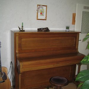 IMG_0187.jpg
