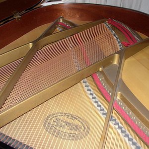 P1010031.jpg