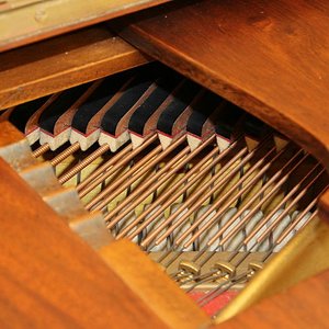 Schimmel 117-5.jpg
