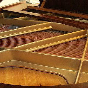 Schimmel 117-7.jpg
