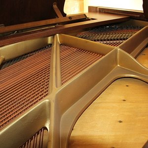 Schimmel 117-9.jpg