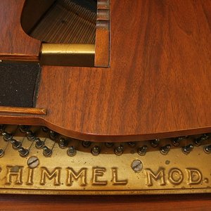 Schimmel 117-3.jpg