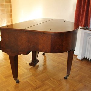 Schimmel 117-2.jpg