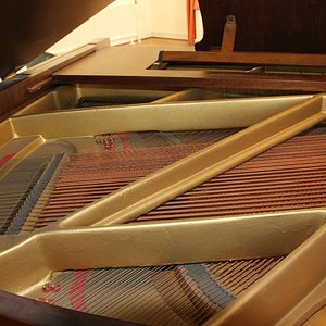 Schimmel 117-8.jpg
