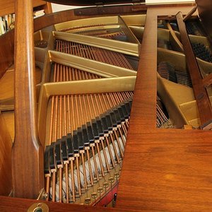 Schimmel 117-6.jpg