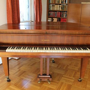 Schimmel 117-1.jpg