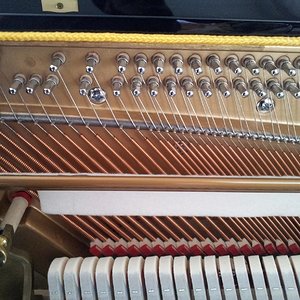20120317_132104.jpg