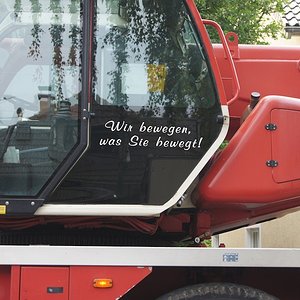 225_1.jpg