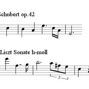 schubert-Liszt.jpg