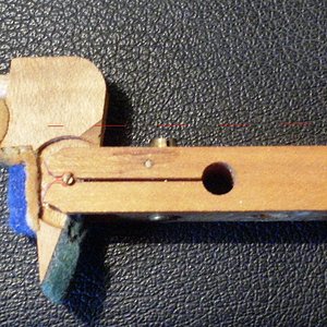 Hammernuss Seite.jpg