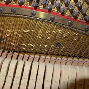 P1000279.jpg