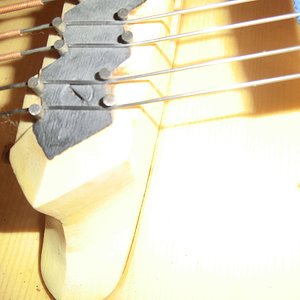 CIMG5930.jpg