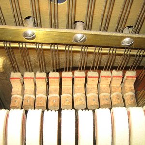 IMG_3720.jpg