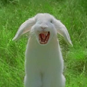 hasi.jpg