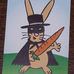 zorro.jpg