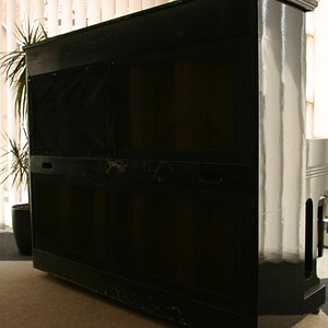 IMG_7745.jpg