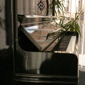 IMG_7740.jpg