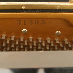 IMG_7732.jpg