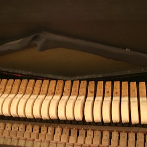 IMG_7748.jpg