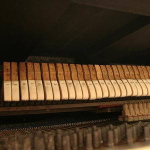 IMG_7749.jpg