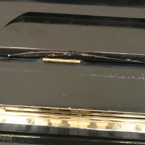 IMG_7752.jpg