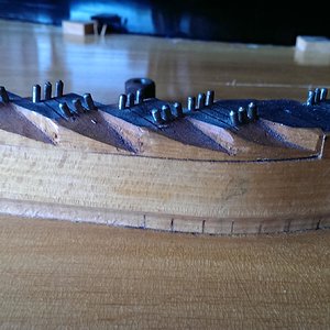 IMAG0194.jpg