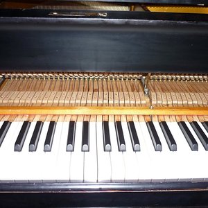 P1020481.jpg
