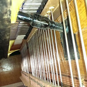 2013-09-13 11.43.40.jpg
