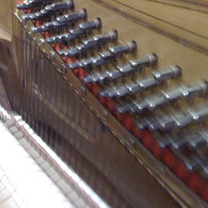 IMG_0055.jpg