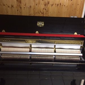 Foto 1.JPG