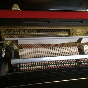 Foto 3.JPG
