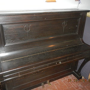 DSCN0824.JPG
