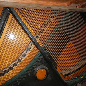 DSCN0827.JPG