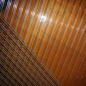 DSCN0830.JPG