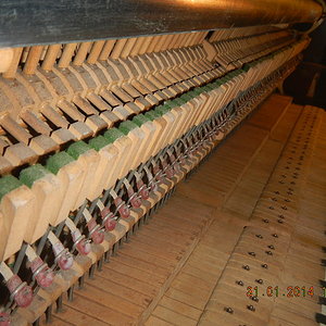 DSCN0828.JPG