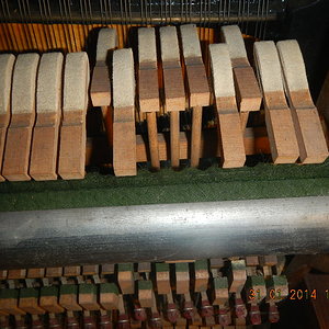 DSCN0829.JPG
