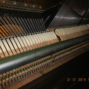 DSCN0826.JPG