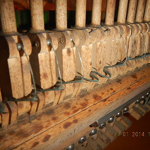 DSCN0835.JPG