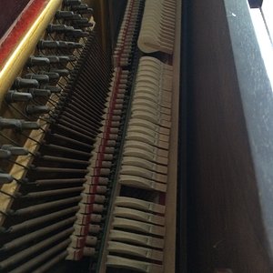 Foto 3.JPG