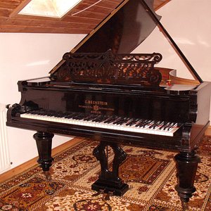 1884_1.jpg