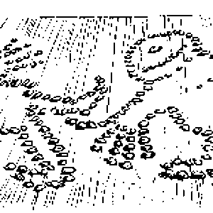 mm-07-11.gif