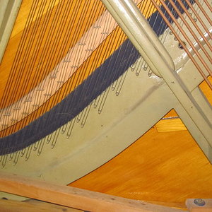 IMG_3937_5.JPG