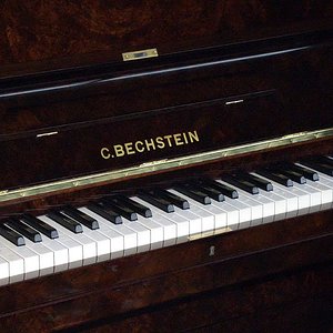 Bechstein 10 Wurzelnuss 2.jpg