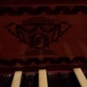 2015-02-28 19.19.09.jpg