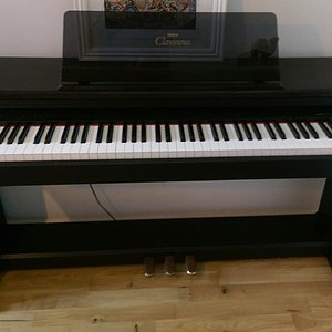 tmp_19233-IMAG0936_1-1131598933.jpg