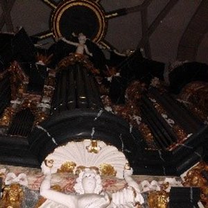 ov_dsci7866.jpg