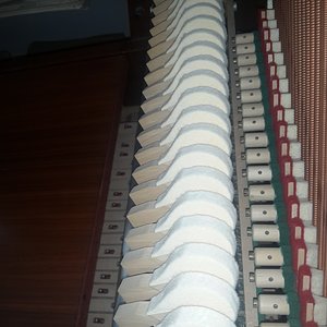 20150810_123550[1].jpg